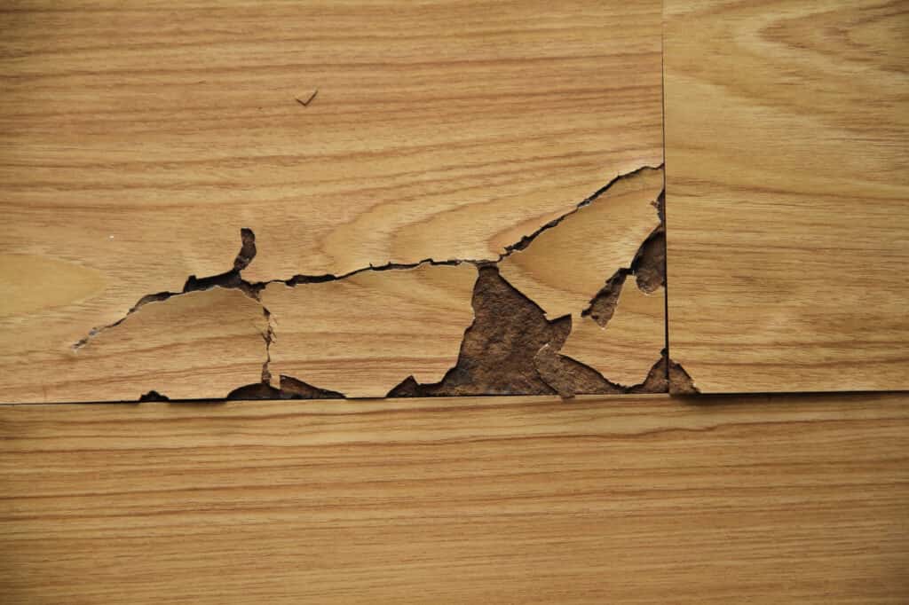 How To Fix Laminate Floor Water Damage, Can You Fix Warped Laminate Flooring