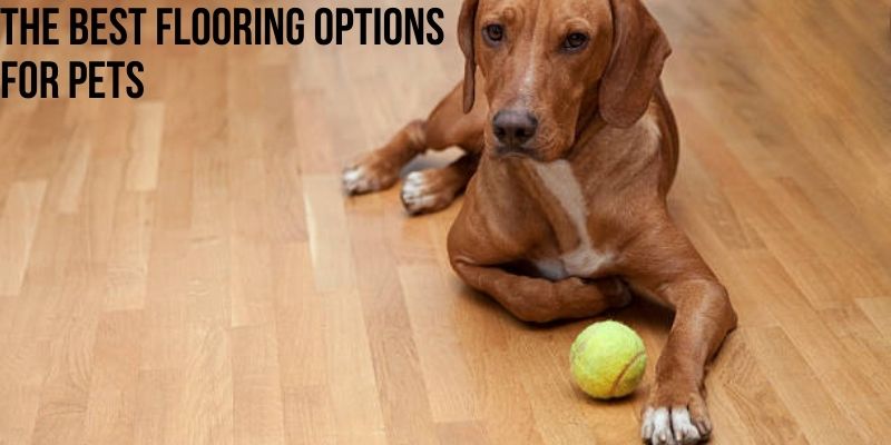 The Best Flooring Options for Pets